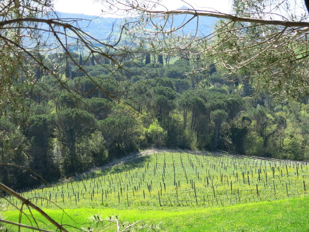 פומרנצה Agriturismo Il Palagetto מראה חיצוני תמונה