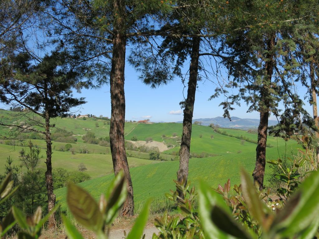 פומרנצה Agriturismo Il Palagetto מראה חיצוני תמונה