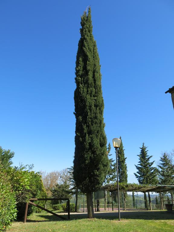 פומרנצה Agriturismo Il Palagetto מראה חיצוני תמונה