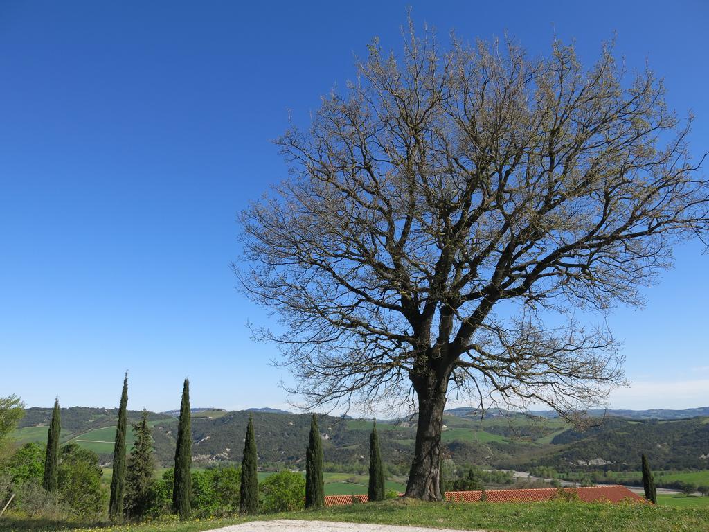 פומרנצה Agriturismo Il Palagetto מראה חיצוני תמונה